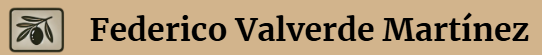 LogoFede2